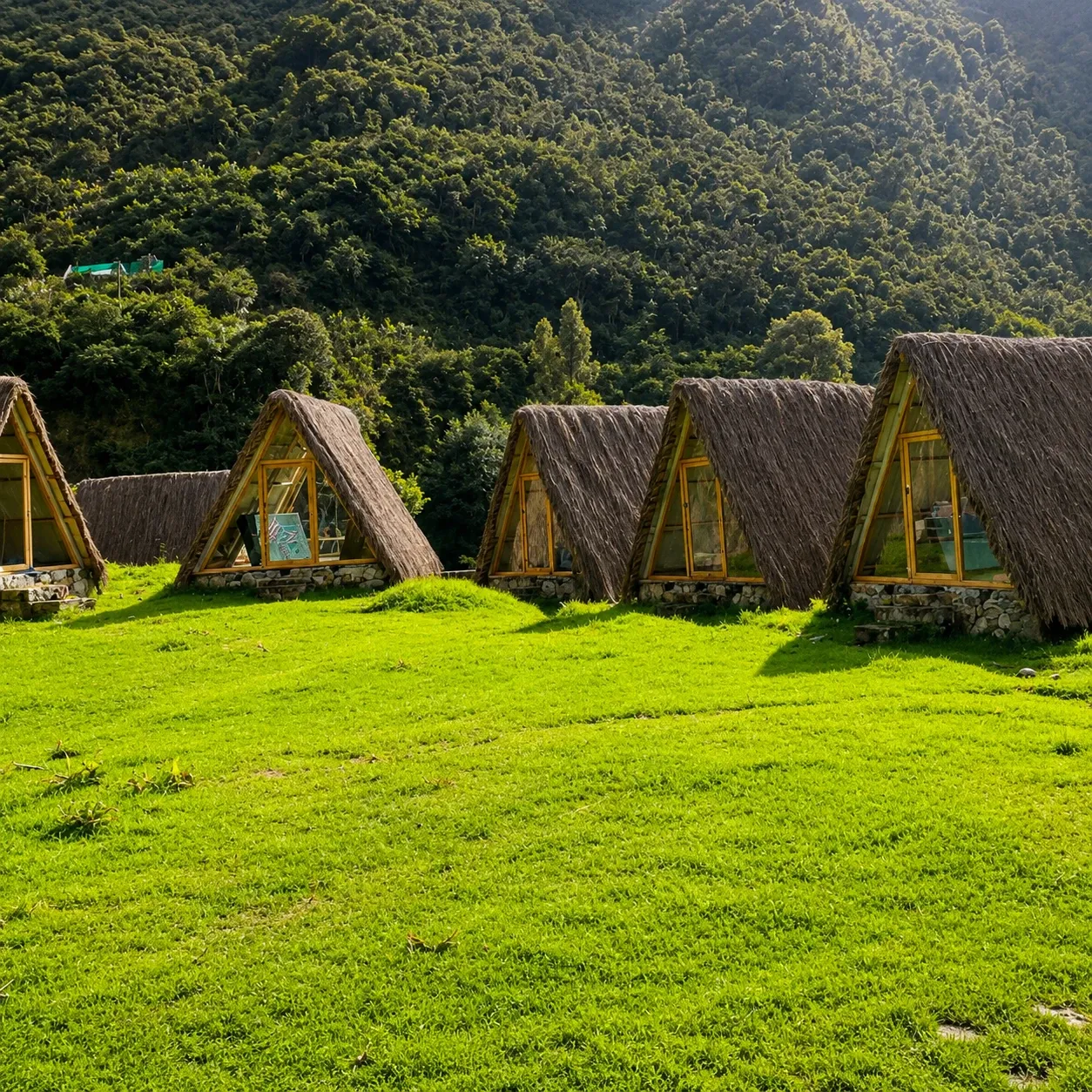 Thatched A-frame huts on a grass clearing at the forest edge