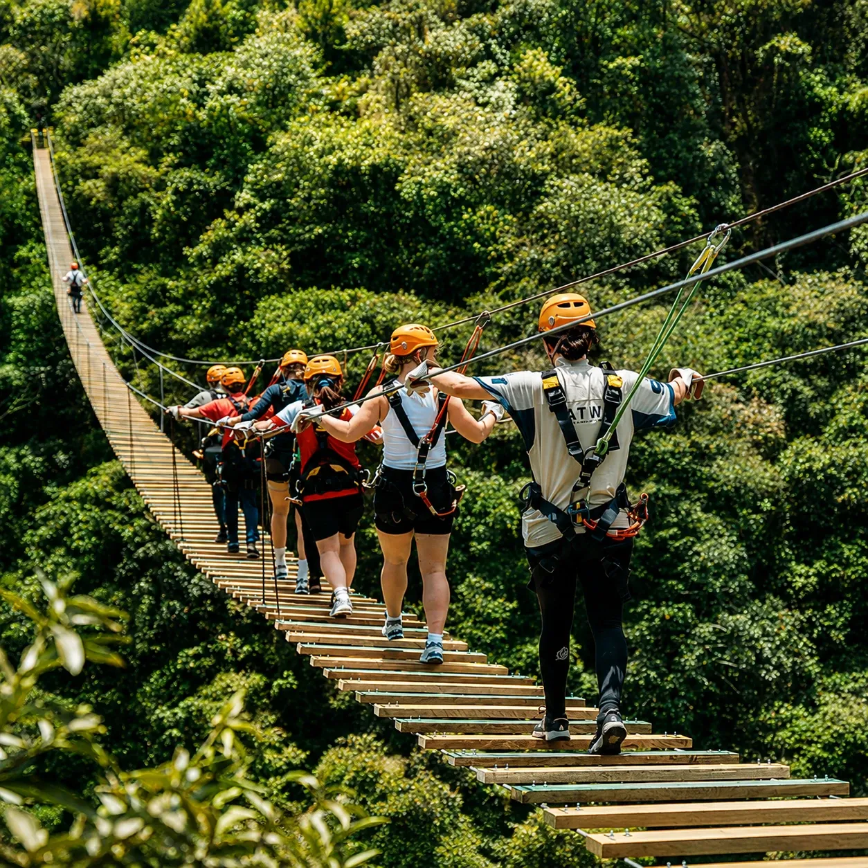 A group crossing a hanging bridge through the forest