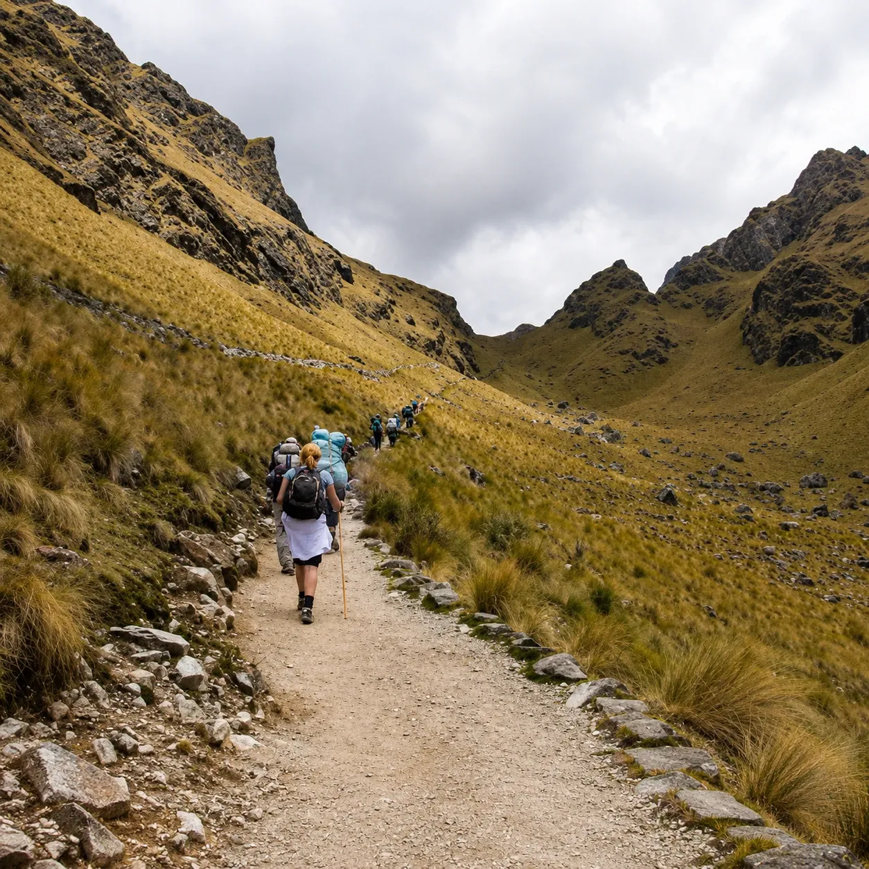 Walkers on a high path through golden grassland towards a pass