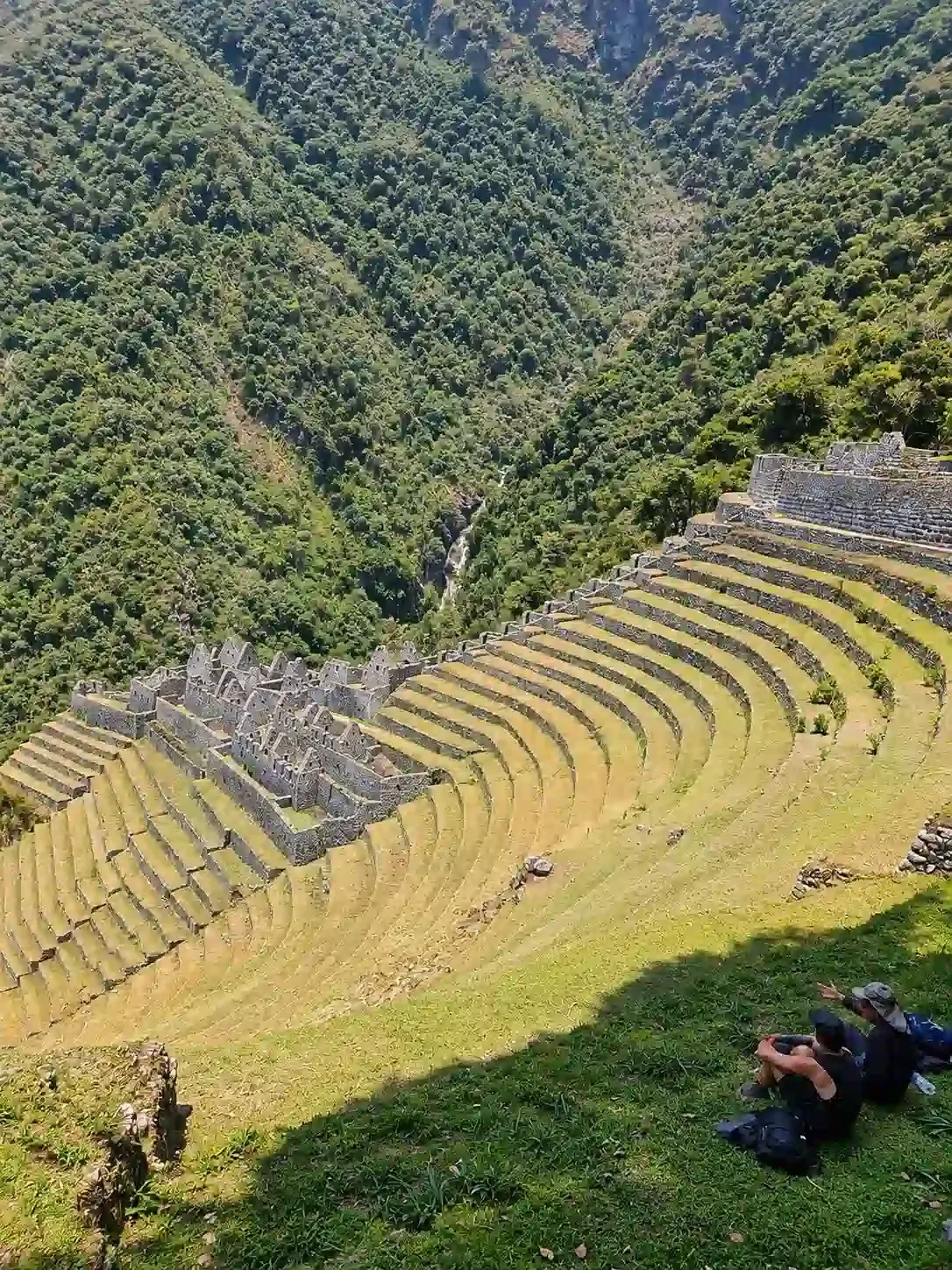 Broad agricultural terraces dropping down a forested slope