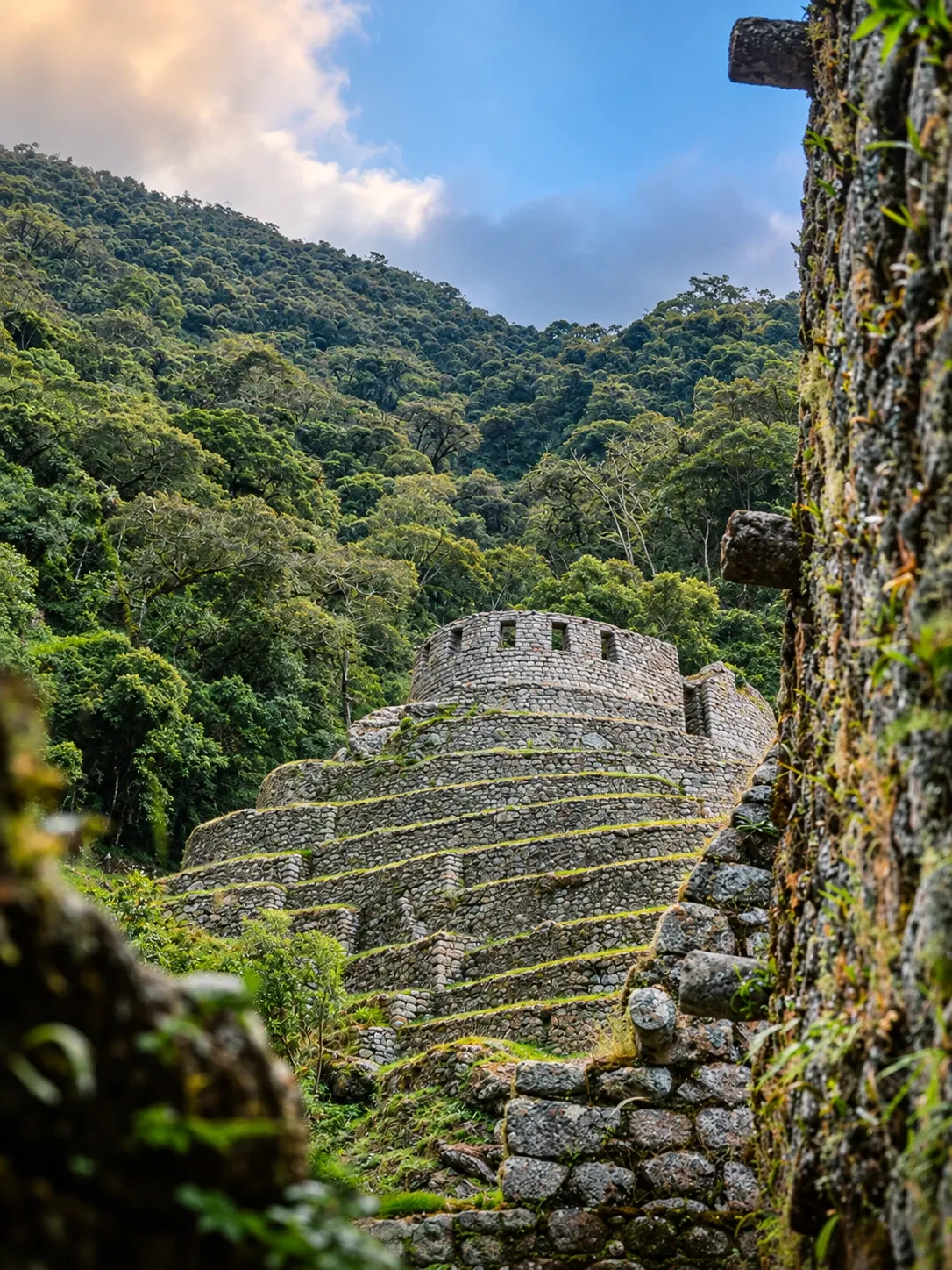 A curved Inca terrace wall wrapped in forest