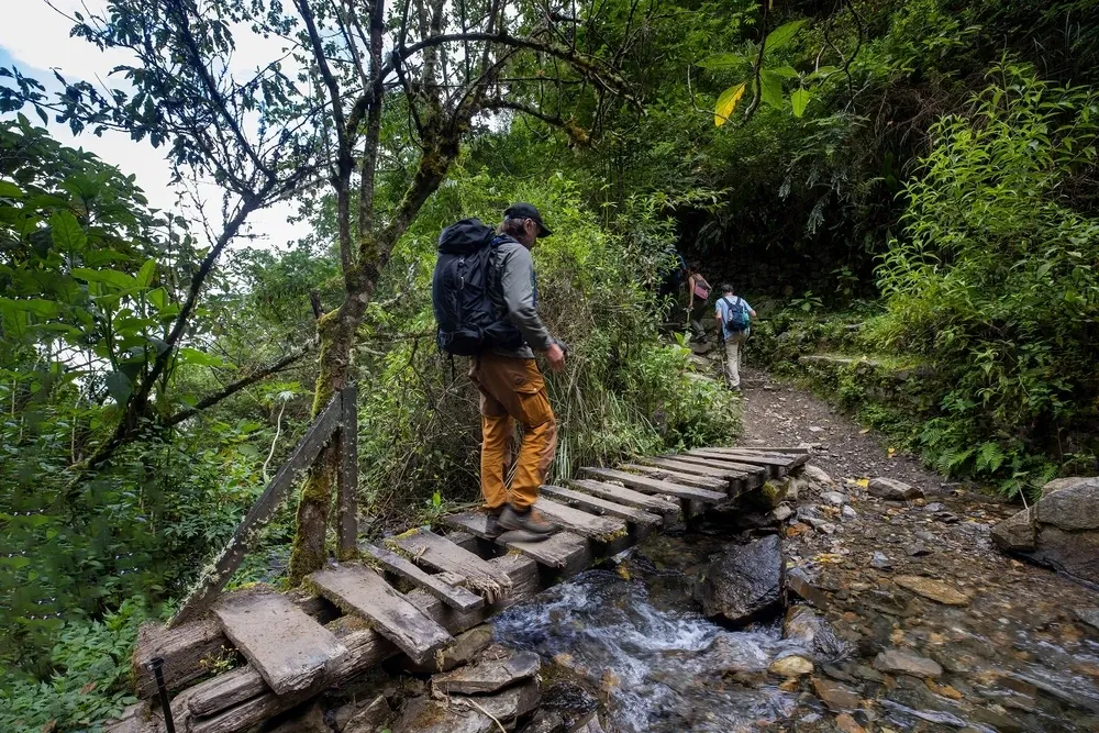 A walker crossing a log bridge over a stream in the forest