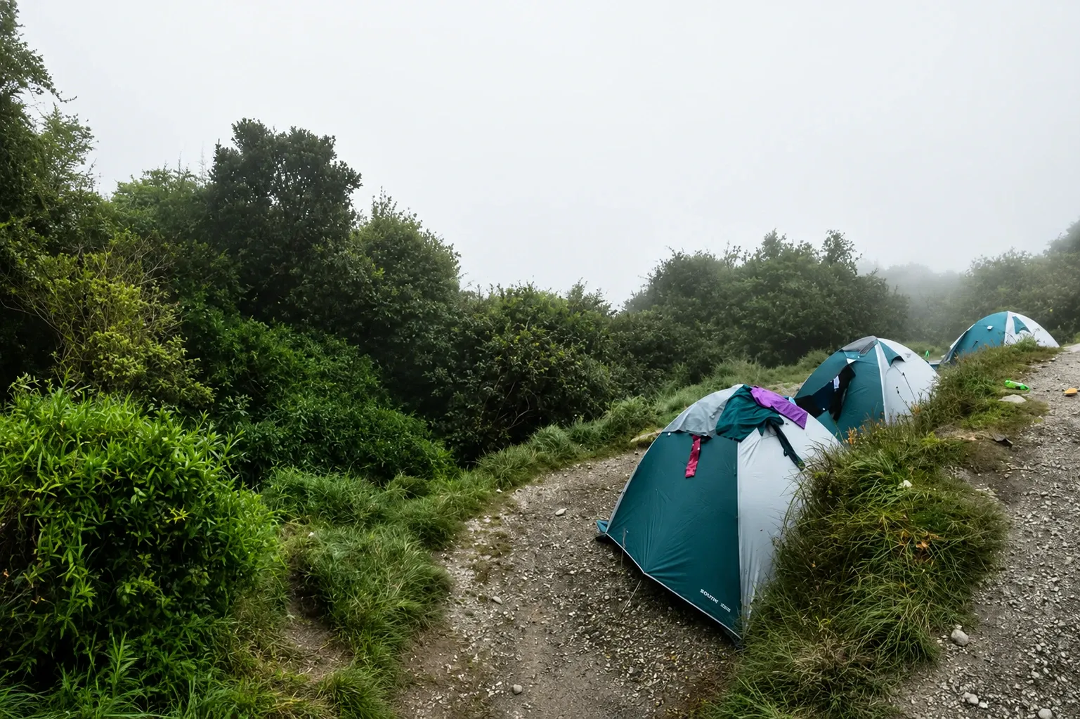 Tents pitched beside the Inca Trail in the mist