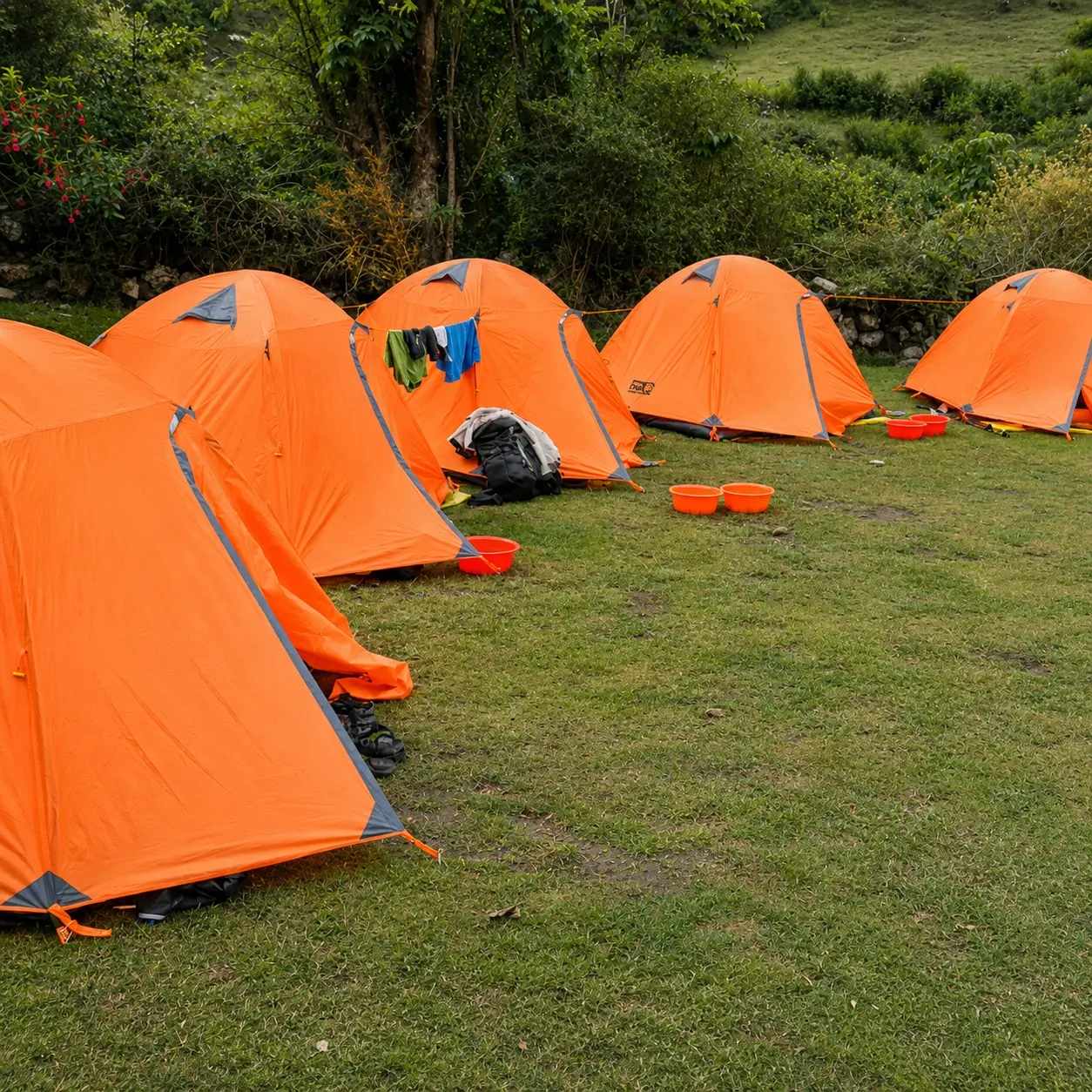 A row of orange tents on a grass terrace