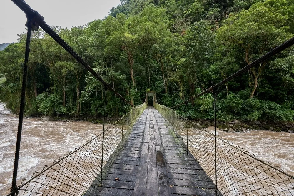 A suspension footbridge over a swollen jungle river