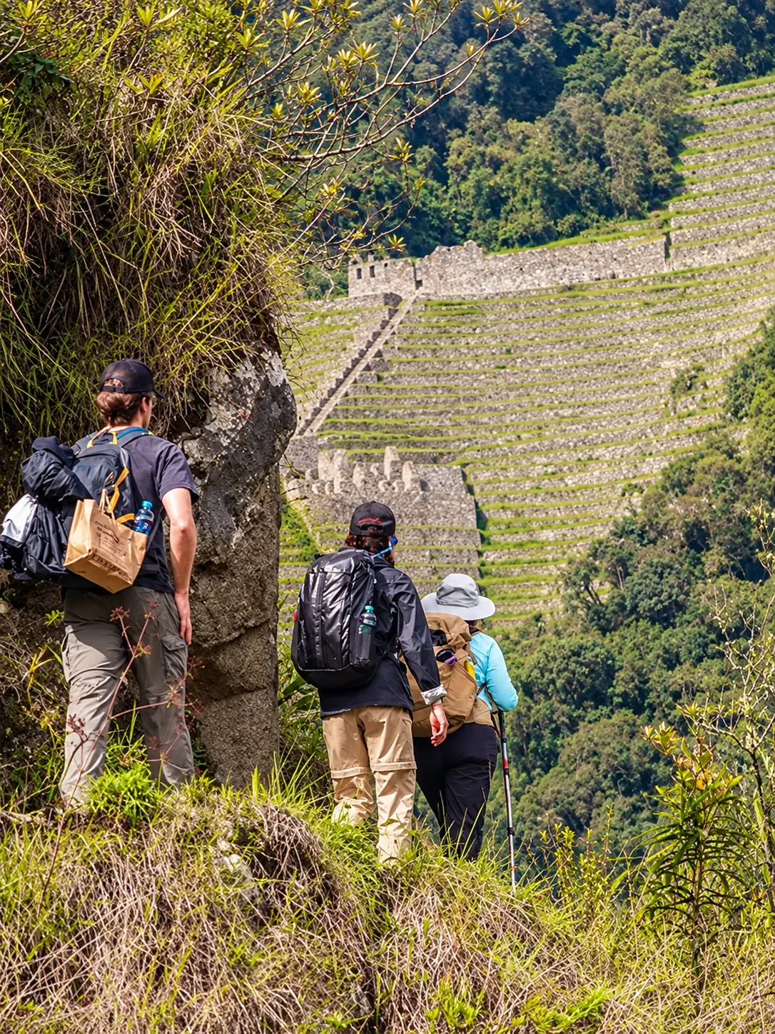 Walkers looking down over Inca terraces from the trail