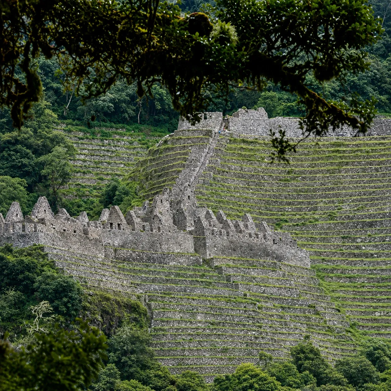 The terraces and houses of Wiñay Wayna stacked down the mountainside